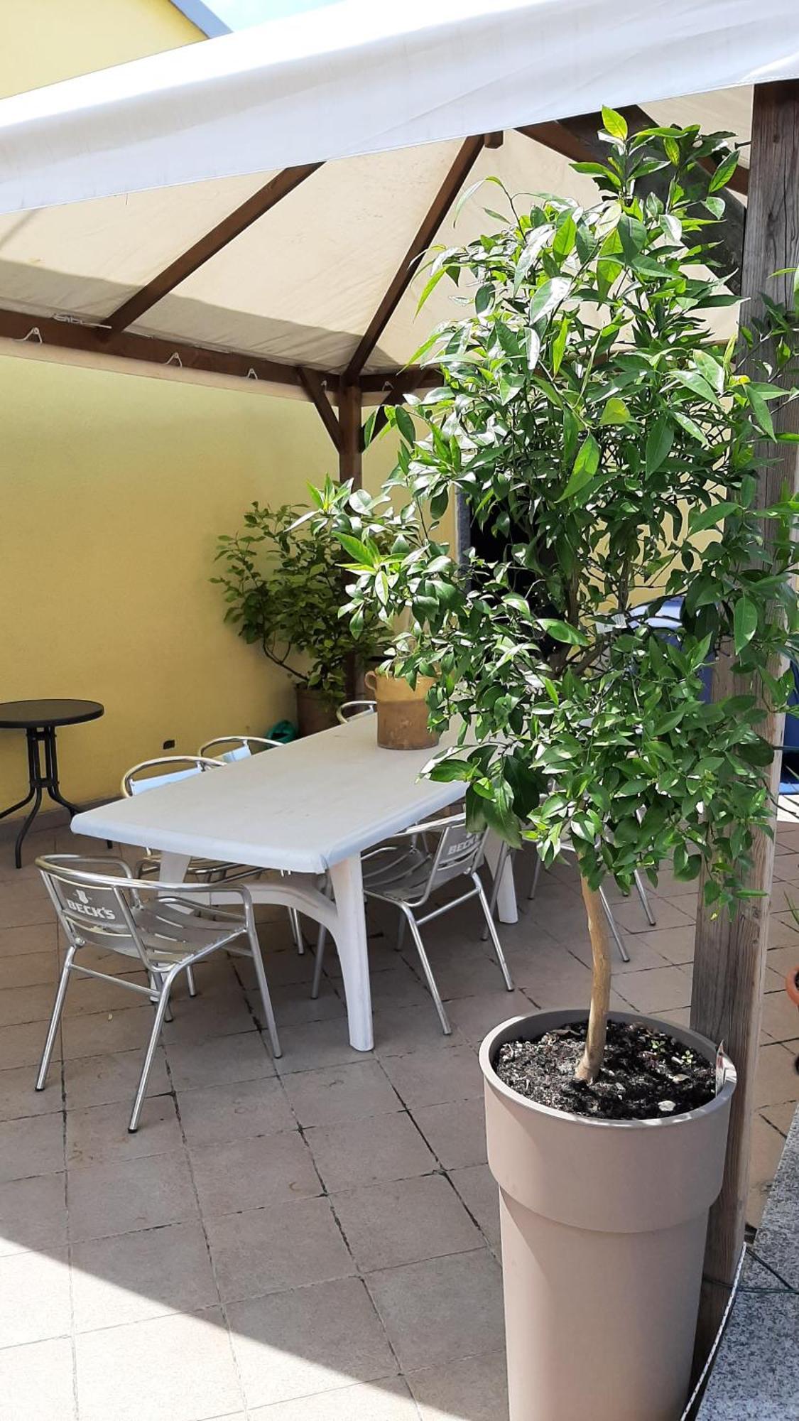Il Ragno D'Oro Apartment Rho Exterior photo